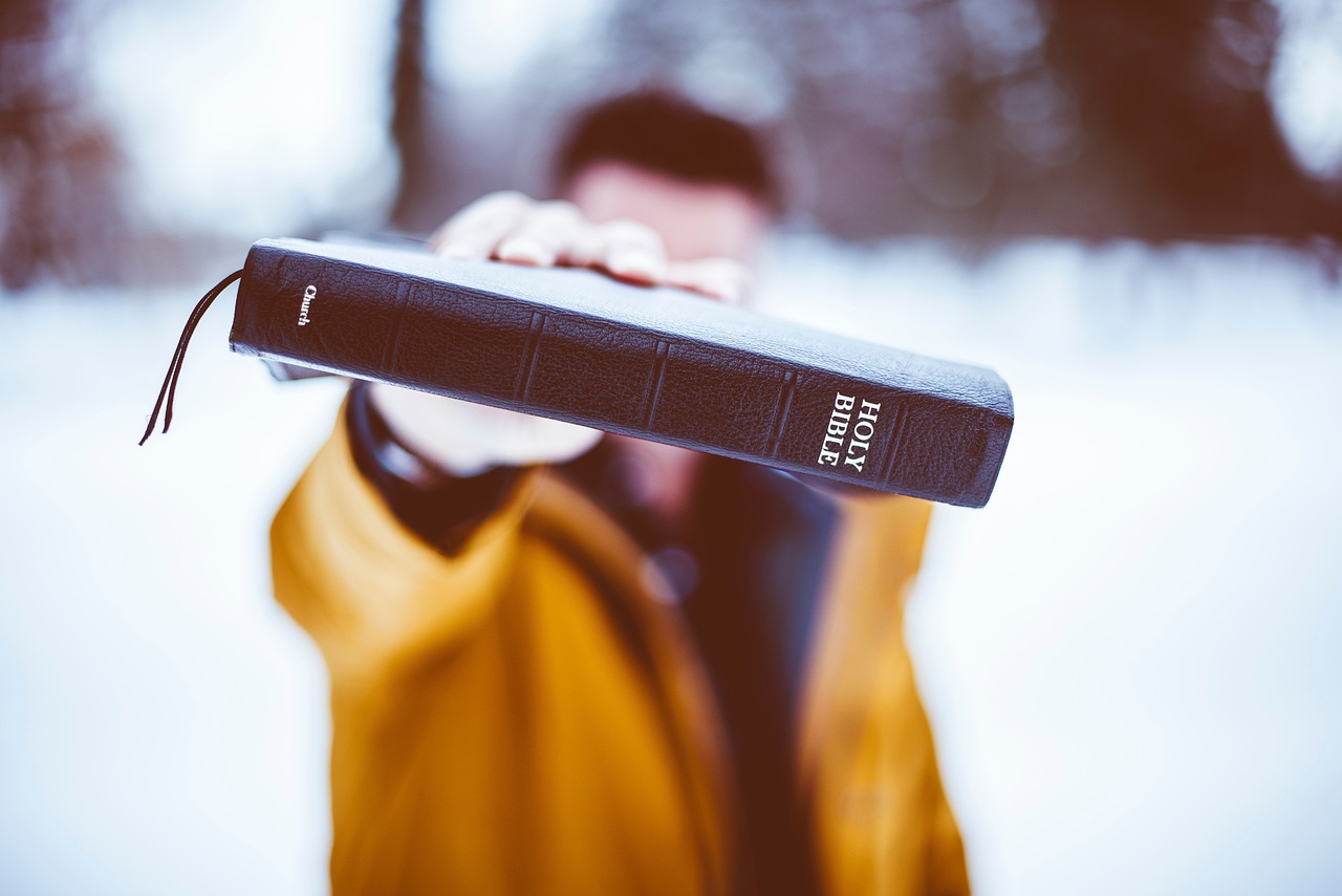 Bible reading guide go deep